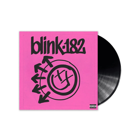BLINK 182 ONE MORE TIME LP