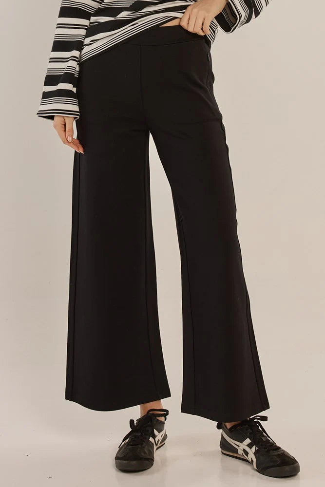 Betty Basics Wynn Wide Leg Ponte Pant | Black