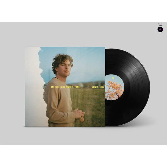 VANCE JOY IN OUR OWN SWEET TIME LP